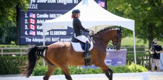 Taking the Leap: Leaving Home at 15 to Chase My Dressage Dream