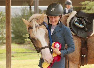 Standing Still and Moving On: When Horses Mirror Life