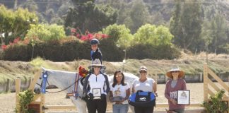 Kyra Palmer and Burberry are Champions in the Carousel Hunter Derby Presented by The Plaid Horse