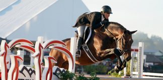 Julie Curtin and Point Being Make their Mark on $5,000 USHJA National Pro Hunter Derby at TIEC