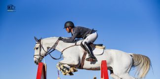 Paso Robles Horse Park Hosts Nationally-Rated USEF Shows