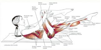 Fit to Ride: Pilates