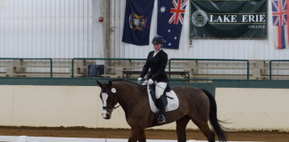 What You Need to Know About Donating Your Horse to a Collegiate Program