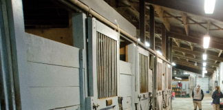 A Culture of Safety: Why It’s Important In Your Barn