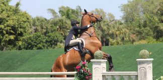 PonyMom 101: Tackling the Fear of Falling
