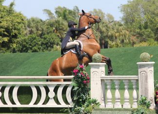 PonyMom 101: Tackling the Fear of Falling