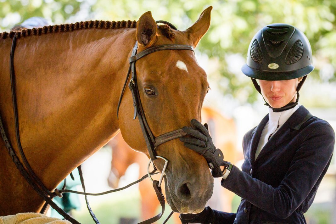 What Horses Give Us Each Time We Swing a Leg Over The Plaid Horse