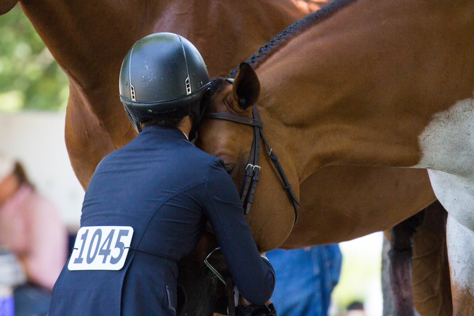 What Horses Give Us Each Time We Swing a Leg Over The Plaid Horse