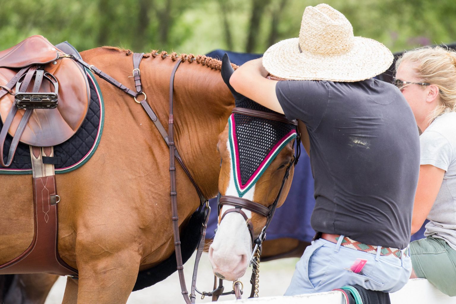 What Horses Give Us Each Time We Swing a Leg Over The Plaid Horse Magazine