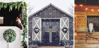 10 Decorated Barns to Get You in the Holiday Spirit