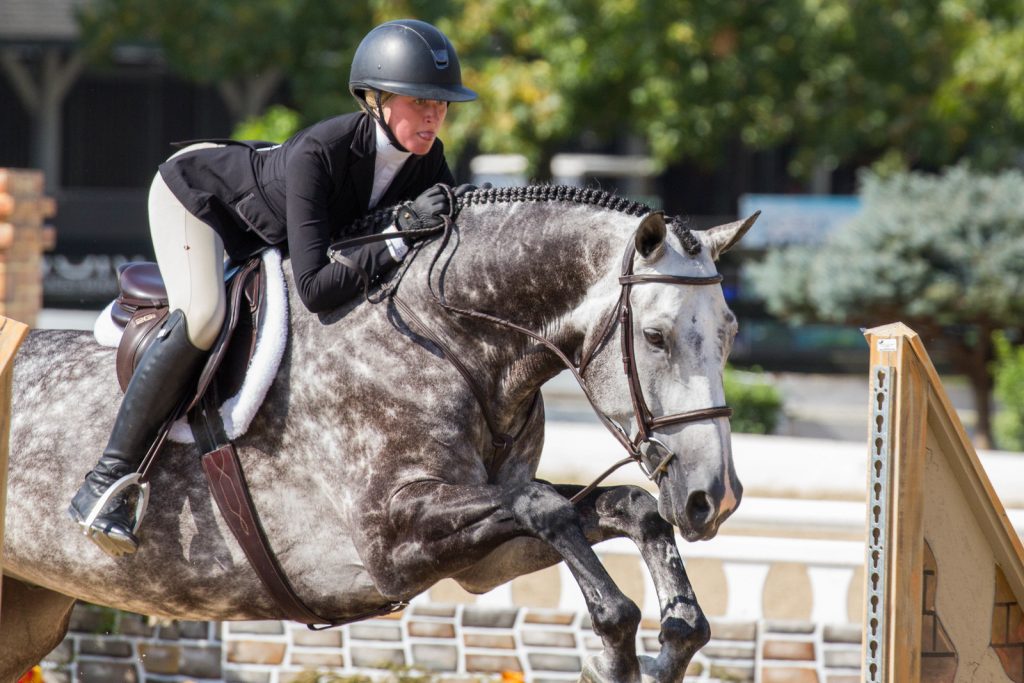 Equestrian Grants & Scholarships Every Rider Should Know About The