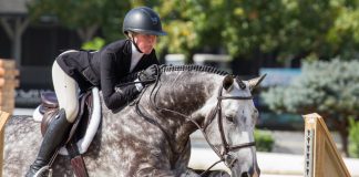 Equestrian Grants & Scholarships Every Rider Should Know About