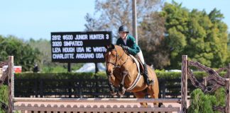 A Parent’s Guide for Having (and Modeling) Calm Confidence at the Horse Show