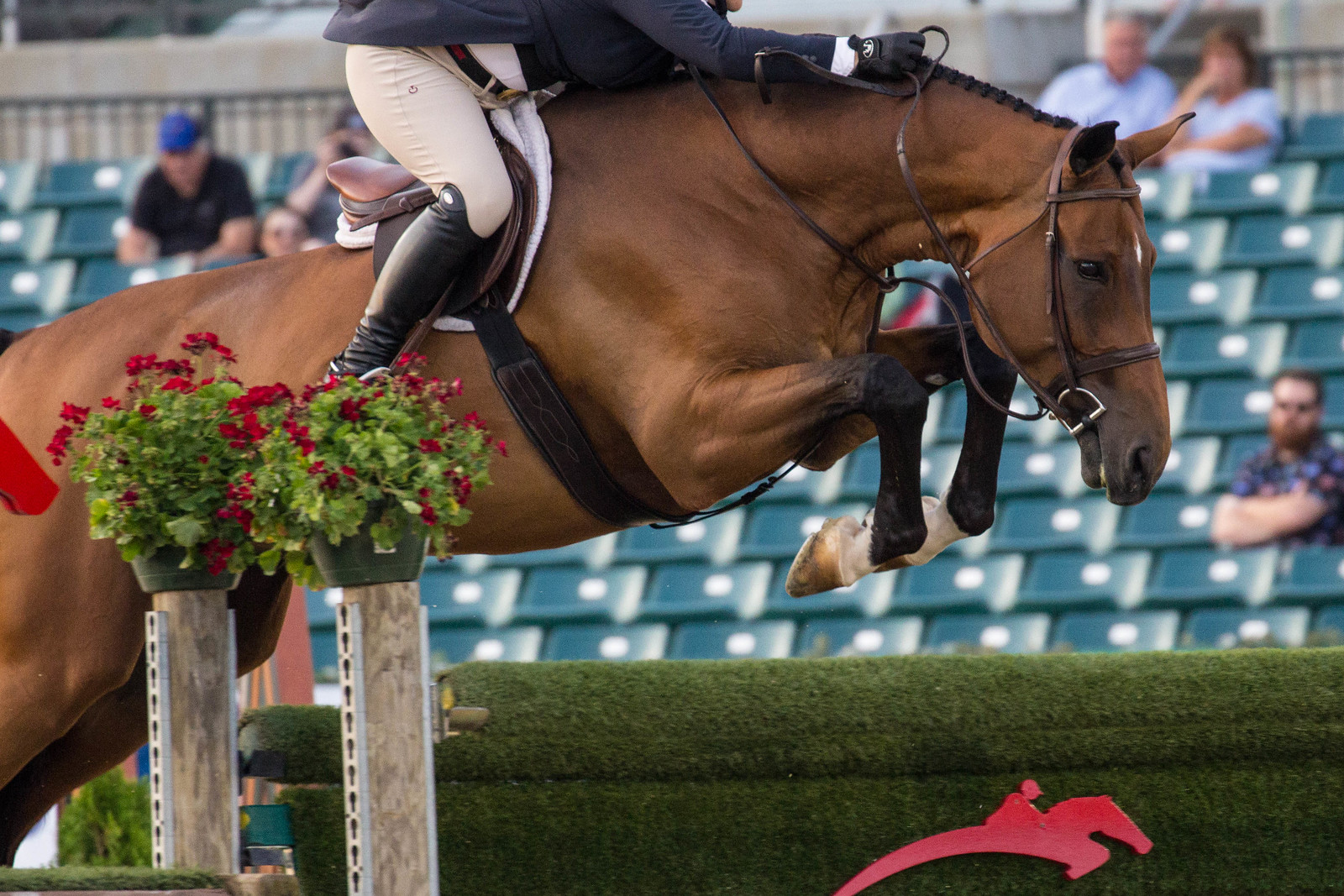 What Equestrians Should Remember About Their Sport The Plaid Horse