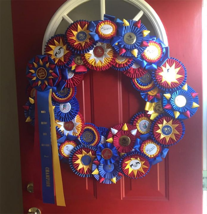 Real Ribbon Displays to Get Inspiration for Showcasing Ribbons in Your