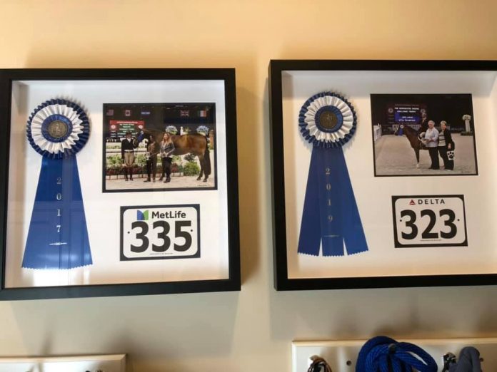 Real Ribbon Displays to Get Inspiration for Showcasing Ribbons in Your