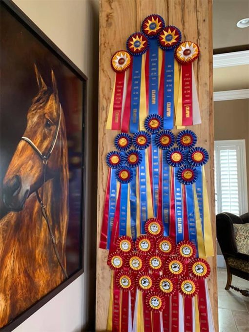 Real Ribbon Displays to Get Inspiration for Showcasing Ribbons in Your