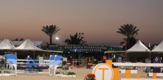 Ten Things to Know About WEF’s New Show+ Coverage