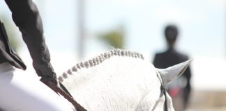 Good & Bad Signs When Looking for Trainers
