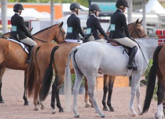 Straight From the Judge’s Booth: Strategies for the Under Saddle