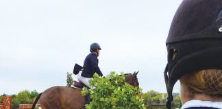 Preparing for a New Horse Show