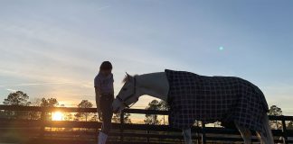 Where Have All the Barn Rats Gone?