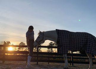 Where Have All the Barn Rats Gone?