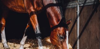 The Science of Shavings
