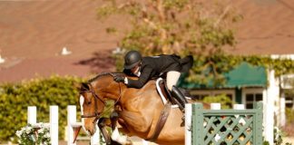In Case Clinches the Win in the S&S Bankcard USHJA National Hunter Derby