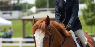 On the Road to the World Show: The negative self doubt of competitive thinking.