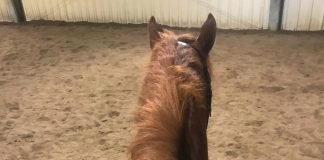 On the Road to the World Show: Excuses, Excuses, and more Excuses.