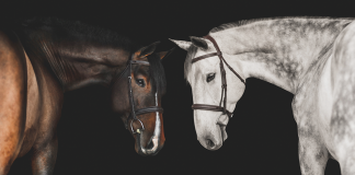 Over 100 Years of Trusted Grooming Technology: The Straight Arrow Family of Brands