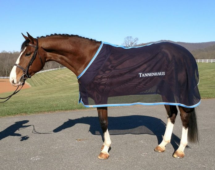 The Clothes Horse The Plaid Horse Magazine