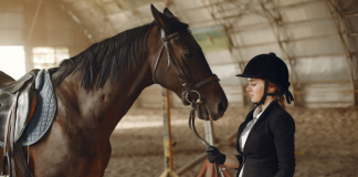 Tips on How to Combine Horse Riding Lessons & College Studies