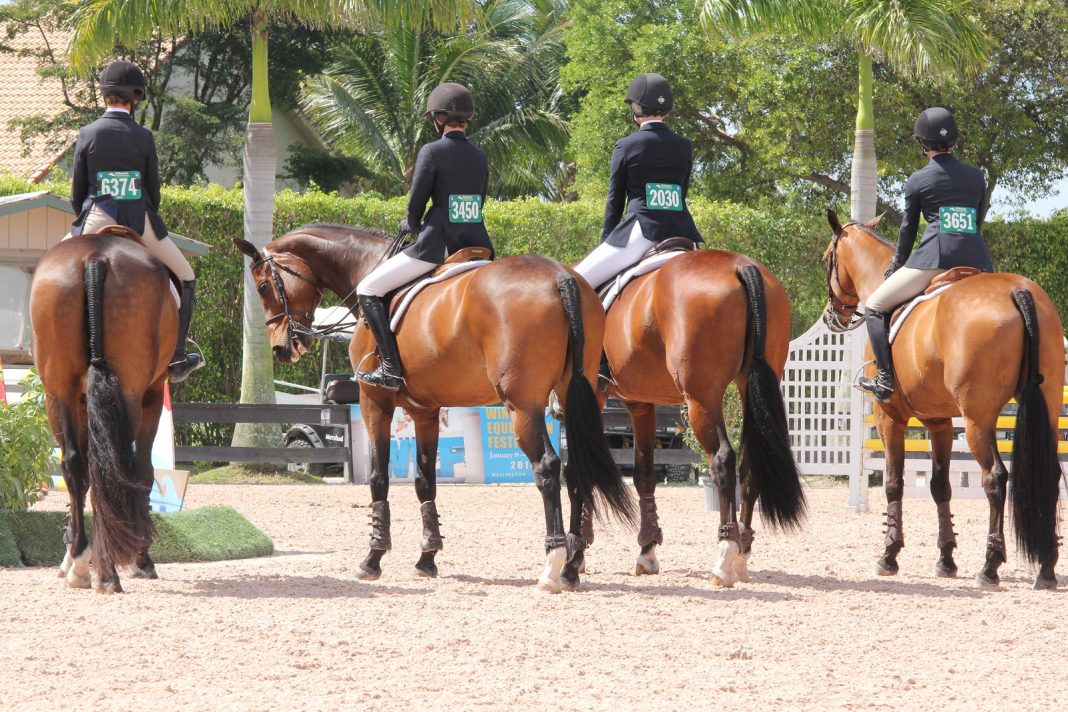 Where Have All the Big Eq Ribbon Winners Gone? The Plaid Horse Magazine