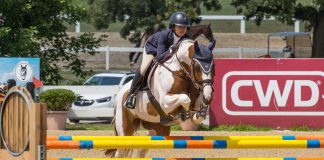 Mimi Gochman Named Show Jumping Hall of Fame Rider of the Month for February
