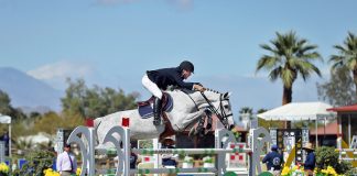 Karl Cook and E’Special P.S. Secure the Win in the $25,000 Sapphire Tour Classic CSI3*, sponsored by Voltaire