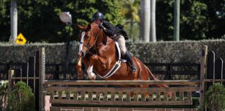 Victoria Colvin Maintains Winning Ways Through 2020 Winter Equestrian Festival