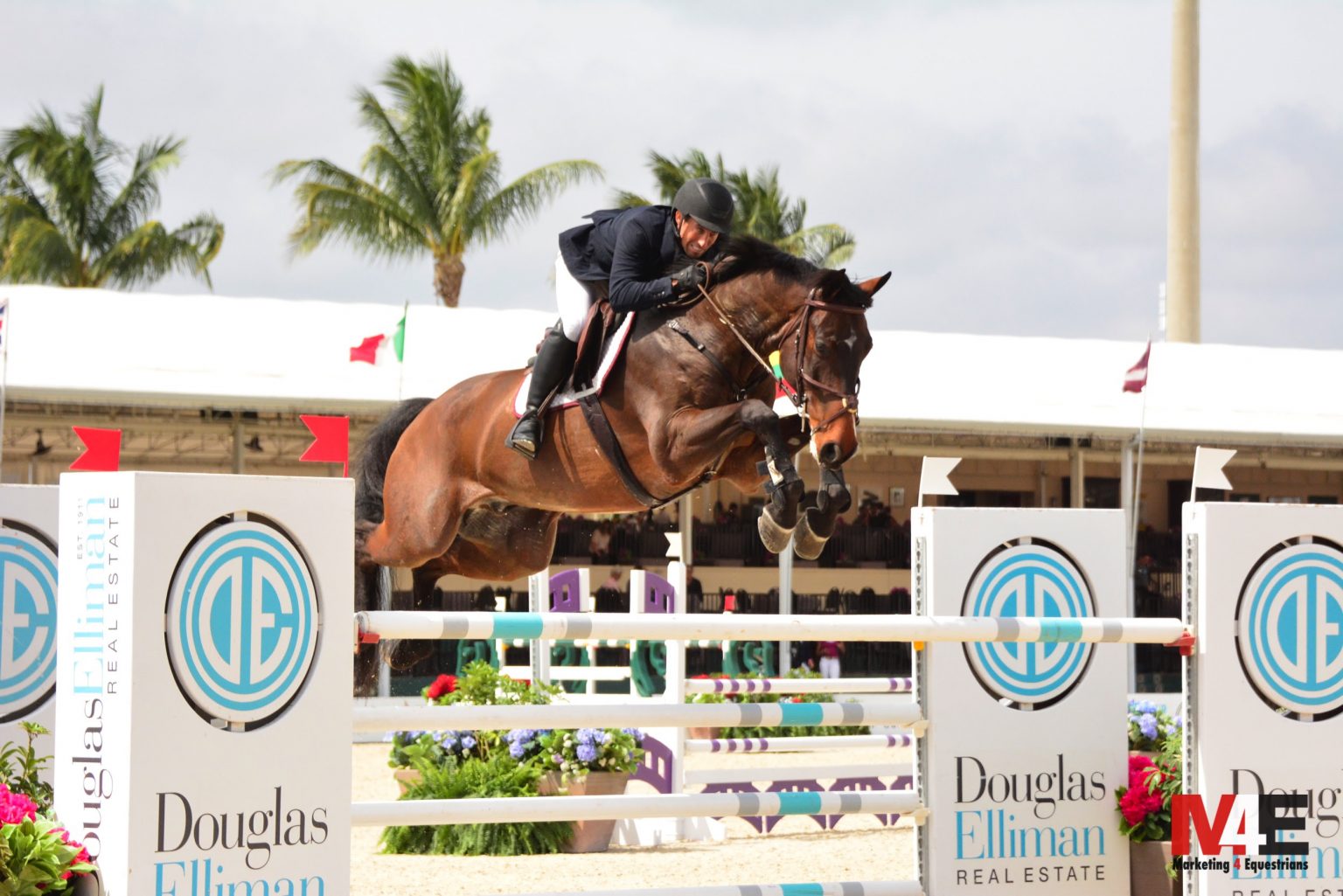 Farm Proves Hard Work Equals Success The Plaid Horse Magazine