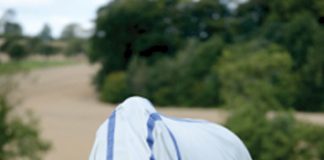 Just in Time… The Ultimate Bug Gear Guide