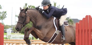 5 Things Any Rider Can Do To Be Successful