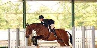 A Thoroughbred Dream: Creating the Hunter Champion an Exercise Rider Rescued from the Slaughter Pipeline