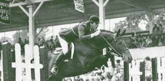 What is the National Show Hunter Hall of Fame?
