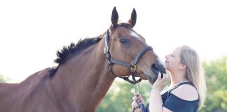 The Best Way to Honor Your Late Heart Horse is to be Brave Enough to Love Another