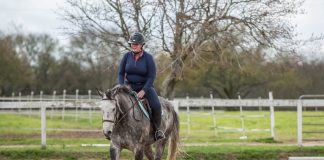 Rediscovering the Joy of Horses When Showing Isn’t Possible