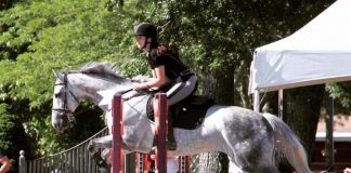 What They Don’t Tell You About Horseback Riding