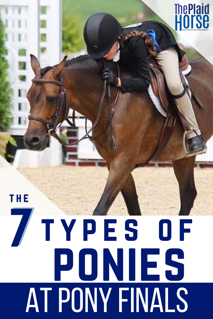 The 7 Types of Ponies You Meet at Pony Finals The Plaid Horse Magazine