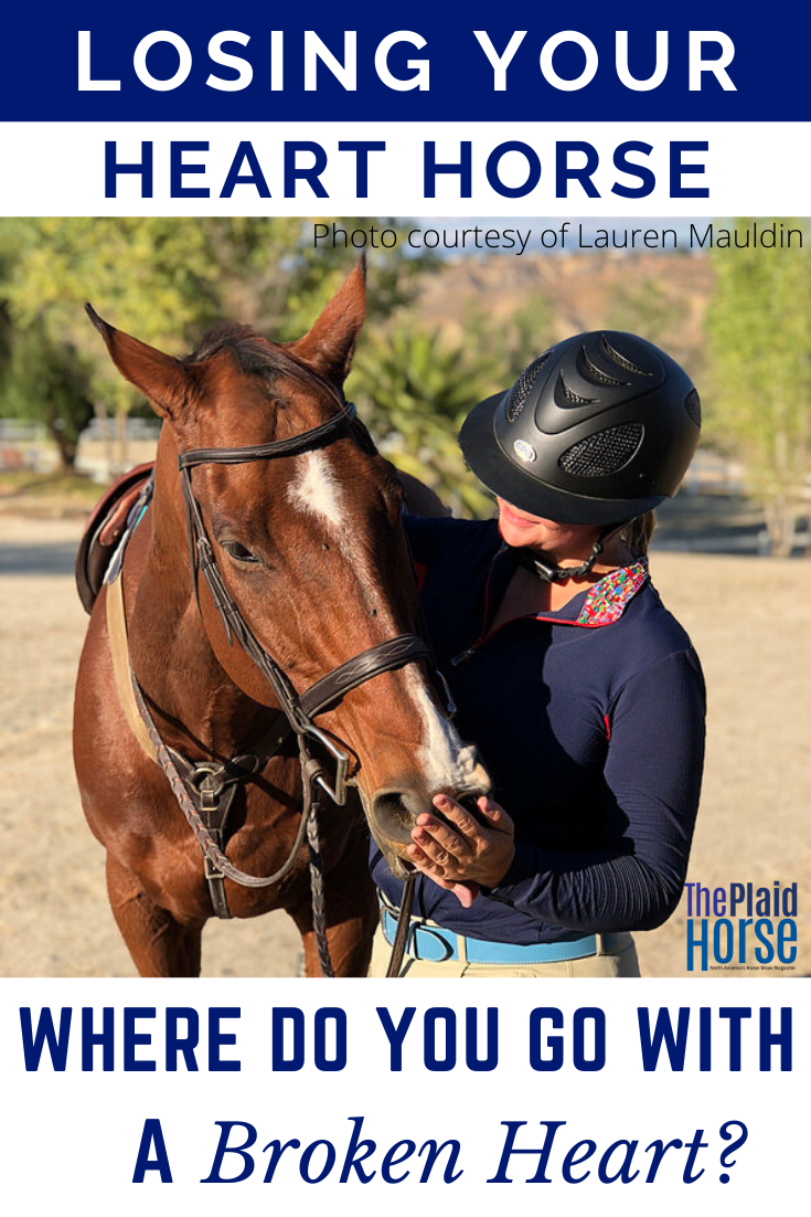 Losing Your Heart Horse Where Do You Go With a Broken Heart? The