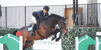 Meet Bradley: The Homebred Colt Who Inspired a Breeding Operation