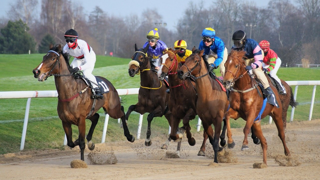 Virtual Horse Racing Casino Games The Plaid Horse Magazine